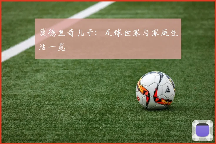 莫德里奇儿子：足球世家与家庭生活一览
